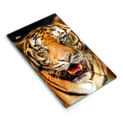 Protection plaque induction Tigre animal sauvage