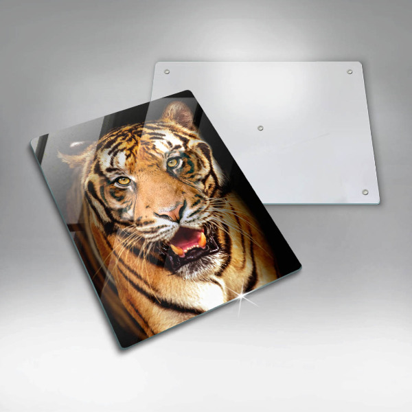 Protection plaque induction Tigre animal sauvage