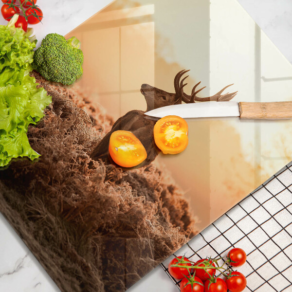 Protection plaque induction Cerf sur le terrain