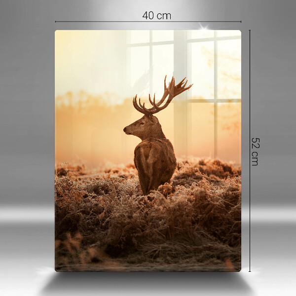 Protection plaque induction Cerf sur le terrain