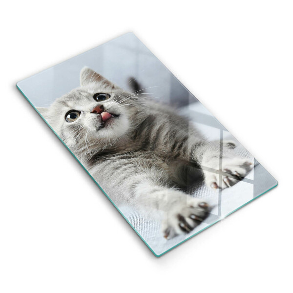 Protection plaque induction Petit chaton mignon