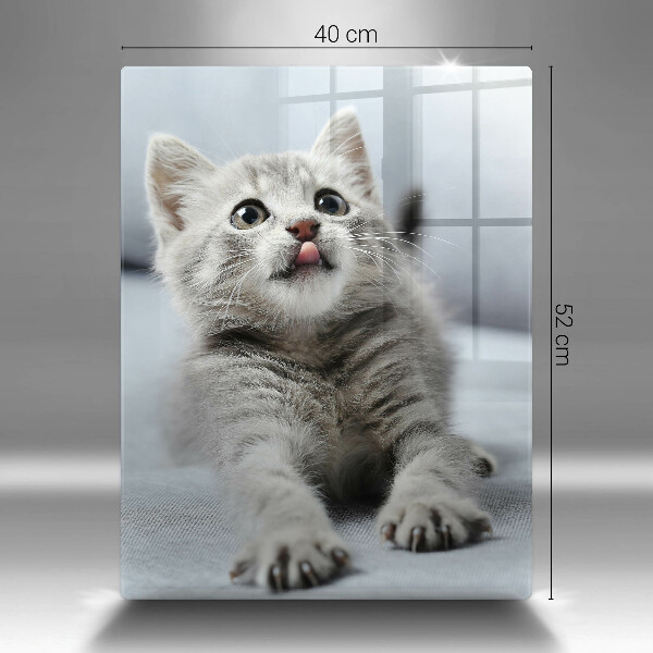 Protection plaque induction Petit chaton mignon