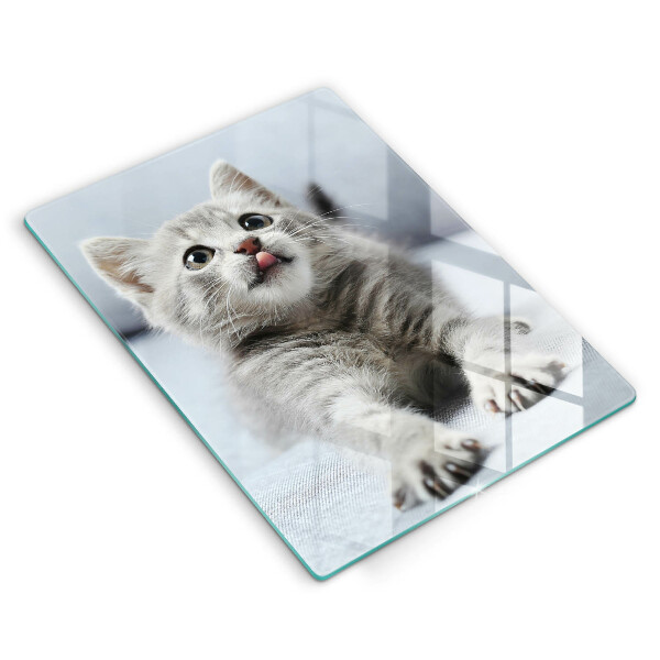 Protection plaque induction Petit chaton mignon