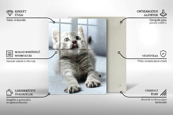 Protection plaque induction Petit chaton mignon