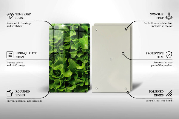 Protection plaque induction Feuilles de laitue verte