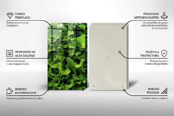 Protection plaque induction Feuilles de laitue verte