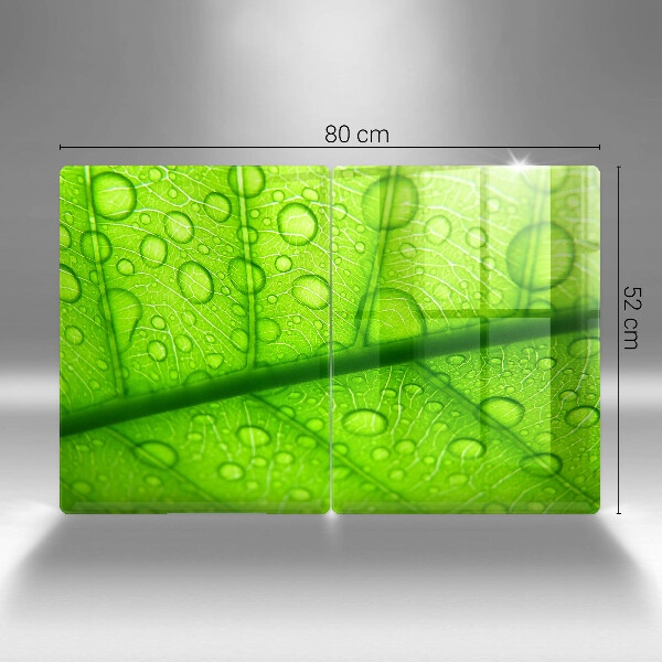 Protection plaque induction Gros plan d'une feuille