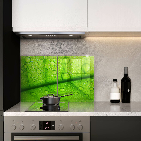 Protection plaque induction Gros plan d'une feuille