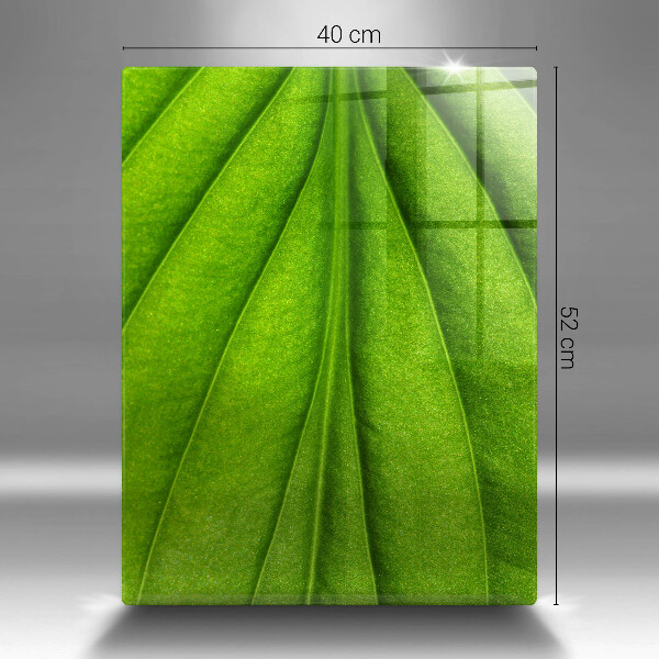 Planche à découper verre Feuille de veine naturelle