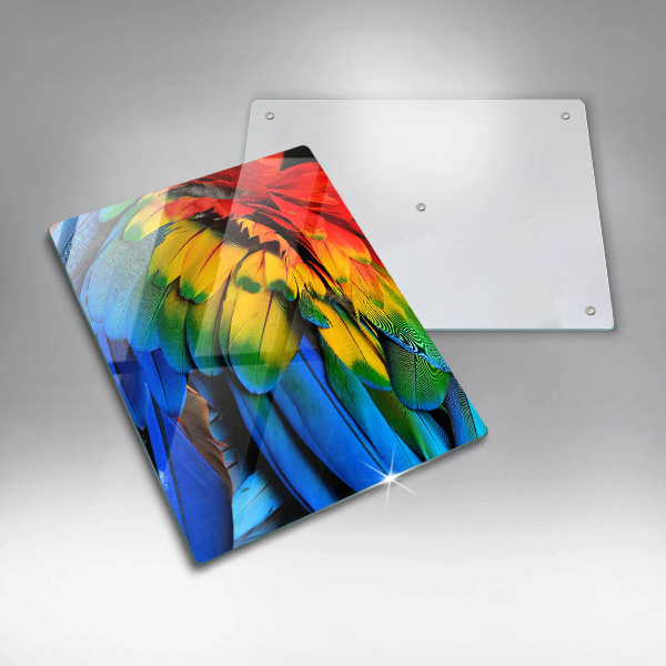 Protection pour plaque de cuisson Plumes de perroquet colorées