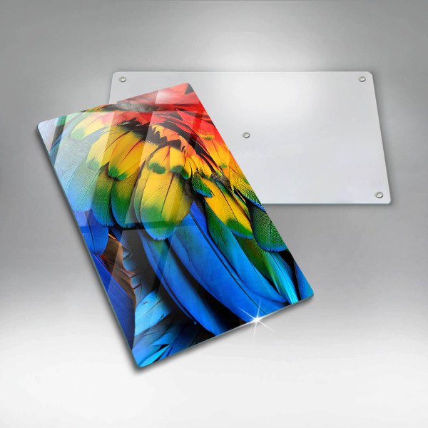 Protection pour plaque de cuisson Plumes de perroquet colorées