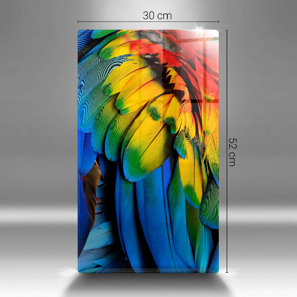 Protection pour plaque de cuisson Plumes de perroquet colorées