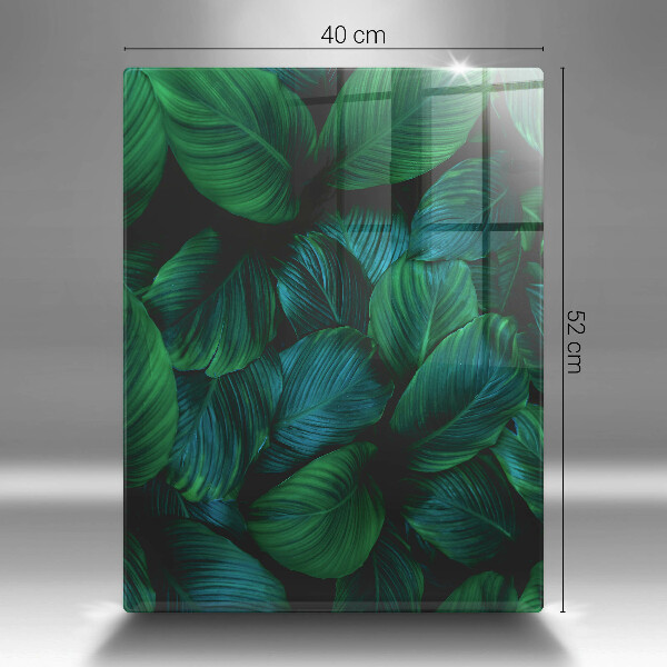 Protection pour plaque de cuisson Feuilles de la jungle