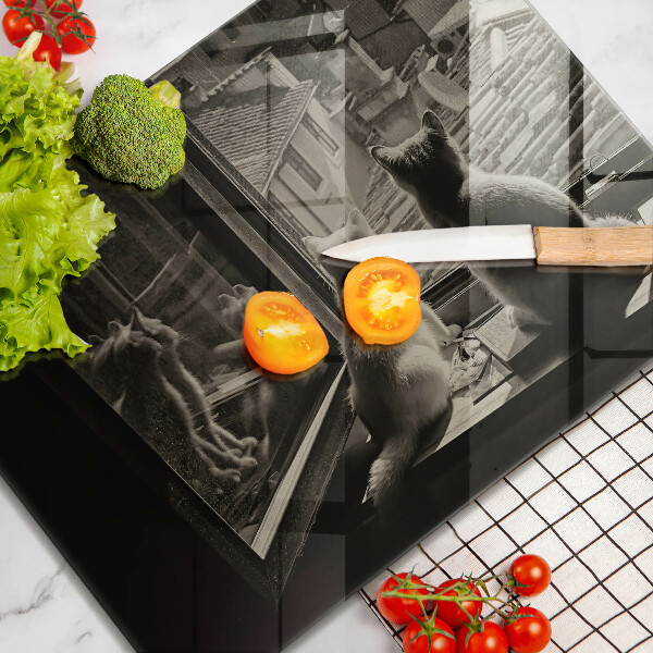 Protège plaque de cuisson Ville et fenêtre des chats