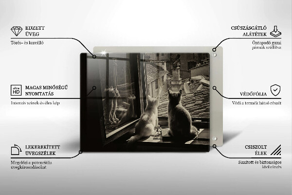 Protège plaque de cuisson Ville et fenêtre des chats