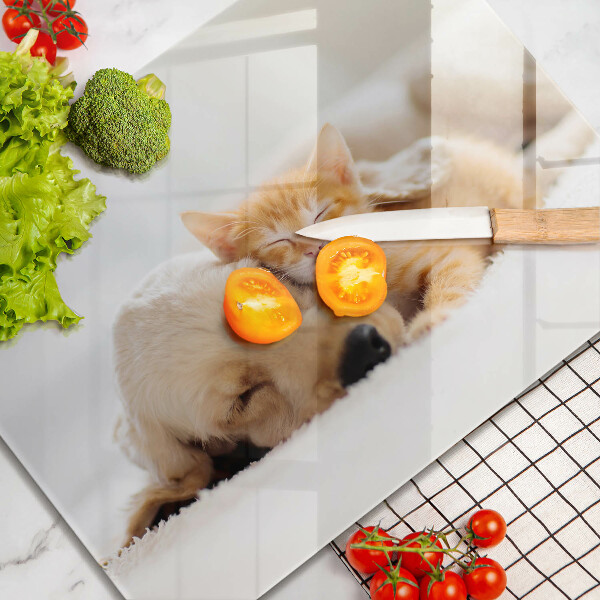 Protège plaque de cuisson Animaux chien et chat