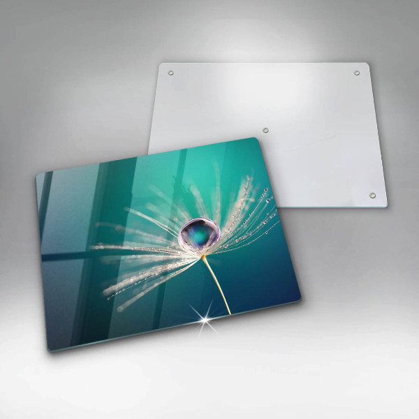 Protège plaque de cuisson Rosée sur un pissenlit