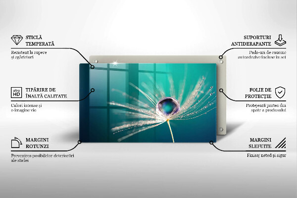 Protège plaque de cuisson Rosée sur un pissenlit