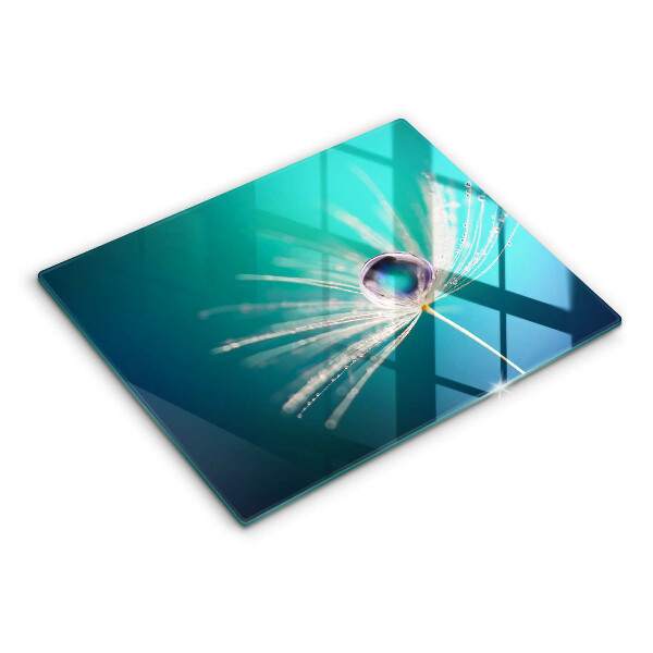 Protège plaque de cuisson Rosée sur un pissenlit