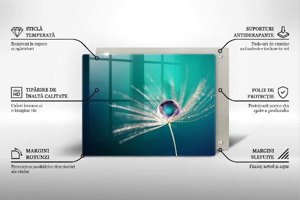 Protège plaque de cuisson Rosée sur un pissenlit
