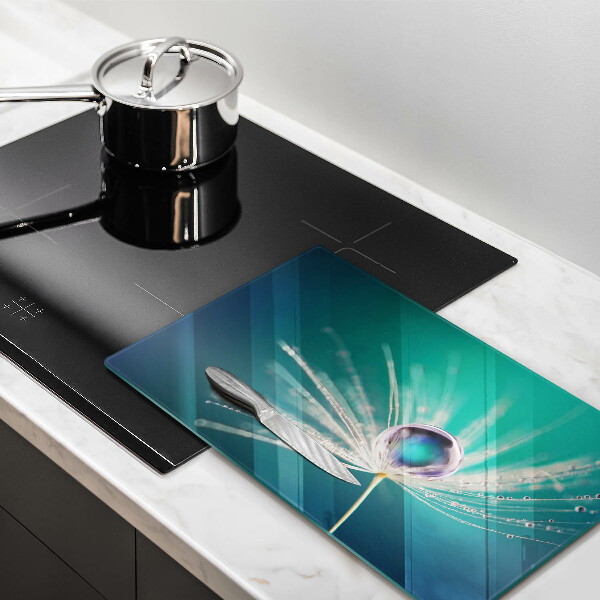 Protège plaque de cuisson Rosée sur un pissenlit