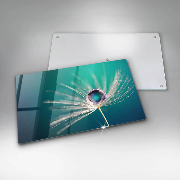 Protège plaque de cuisson Rosée sur un pissenlit