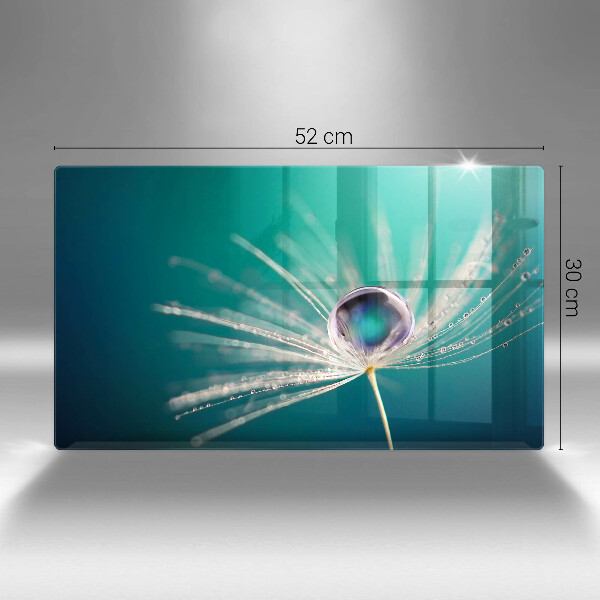 Protège plaque de cuisson Rosée sur un pissenlit