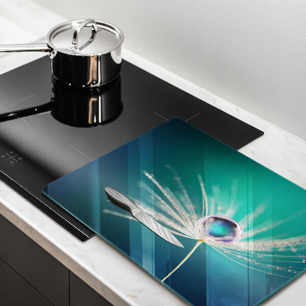 Protège plaque de cuisson Rosée sur un pissenlit