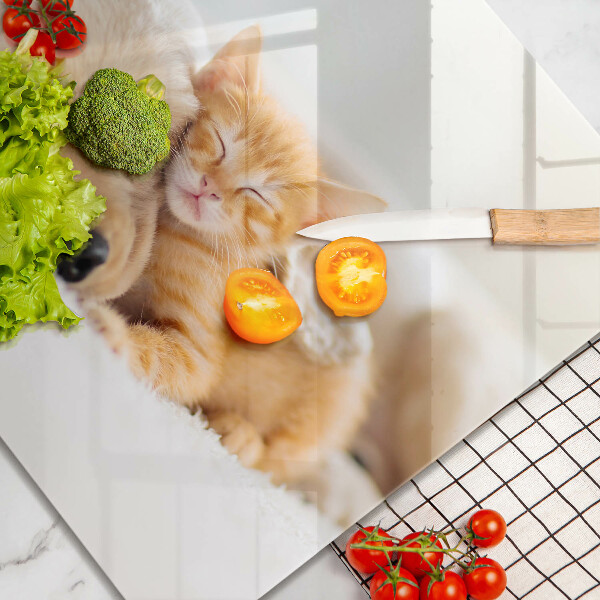 Cache plaque de cuisson Animaux chien et chat