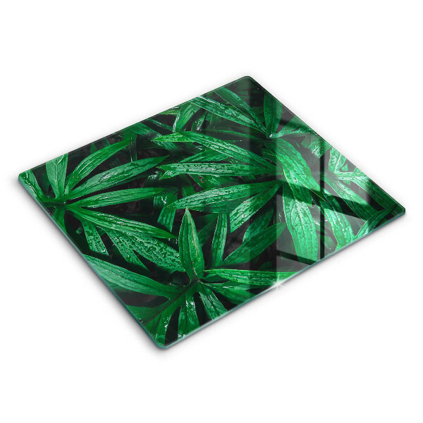 Protection plaque induction Feuilles de plantes