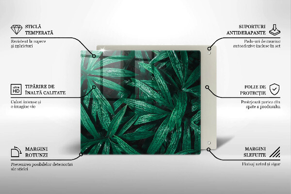 Protection plaque induction Feuilles de plantes