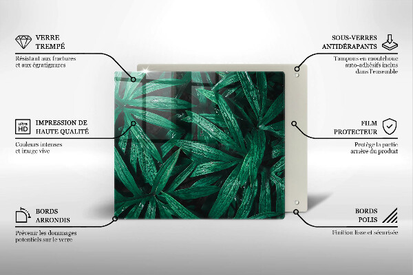 Protection plaque induction Feuilles de plantes