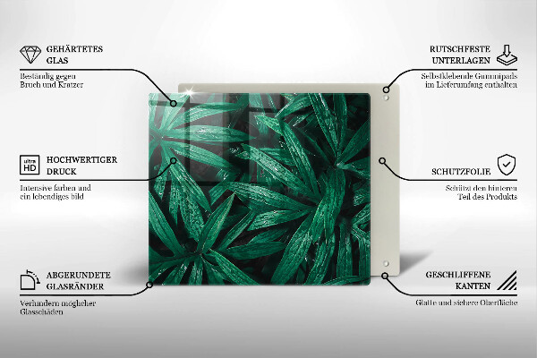 Protection plaque induction Feuilles de plantes