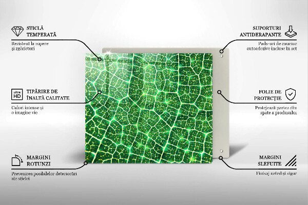 Protection plaque induction Structure des feuilles