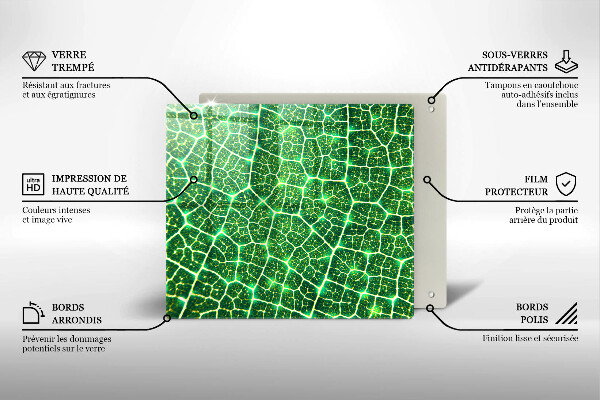 Protection plaque induction Structure des feuilles