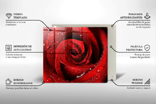 Cache plaque de cuisson Pétales de fleurs de roses