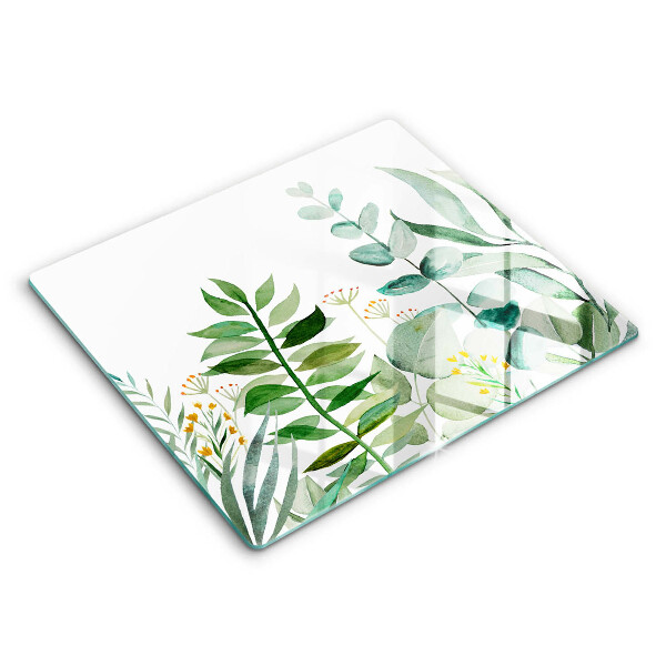 Protection plaque induction Illustration de feuilles de plantes