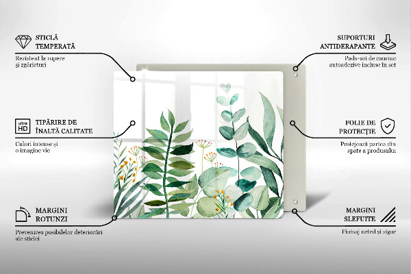 Protection plaque induction Illustration de feuilles de plantes