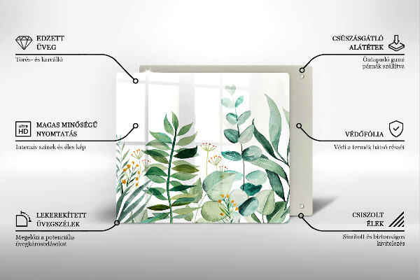 Protection plaque induction Illustration de feuilles de plantes