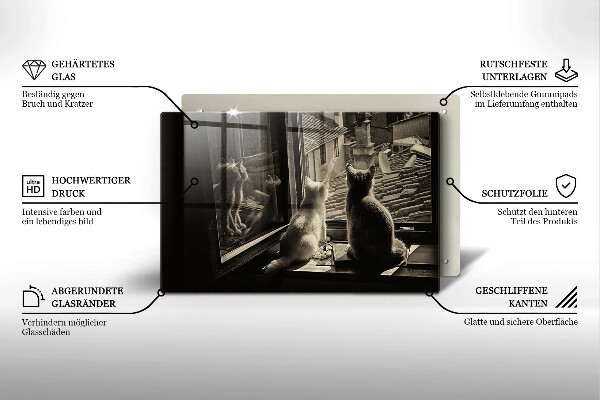 Protège plaque de cuisson Ville et fenêtre des chats