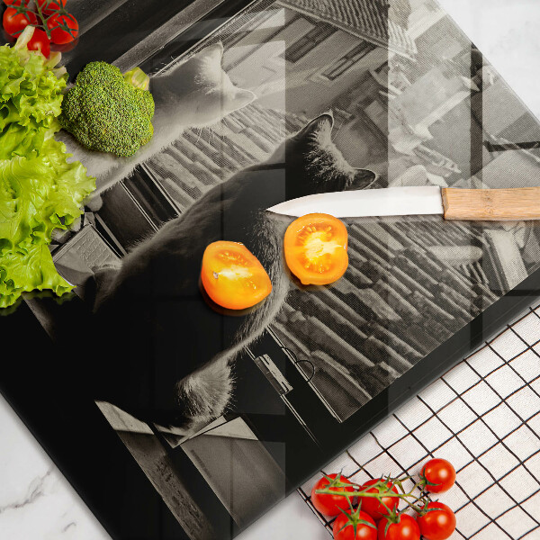 Protège plaque de cuisson Ville et fenêtre des chats