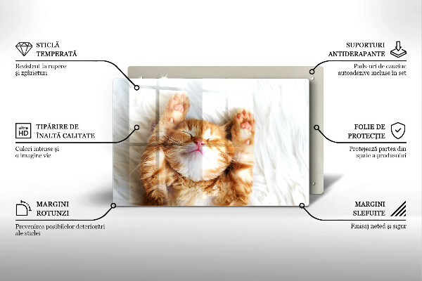 Protège plaque de cuisson Petit chaton mignon