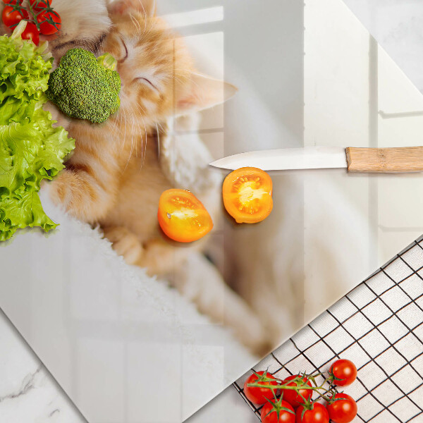 Protège plaque de cuisson Animaux chien et chat