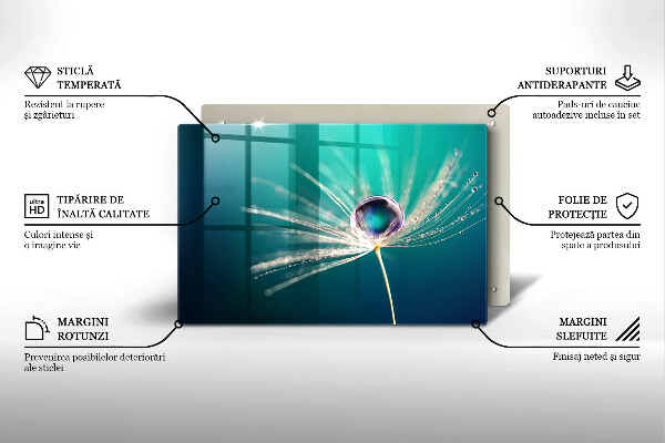 Protection pour plaque de cuisson Rosée sur un pissenlit