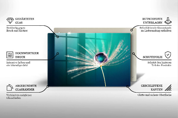 Protection pour plaque de cuisson Rosée sur un pissenlit