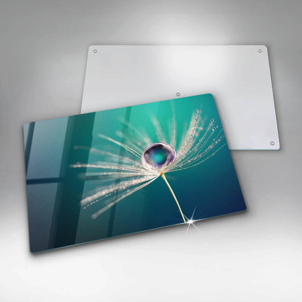 Protection pour plaque de cuisson Rosée sur un pissenlit