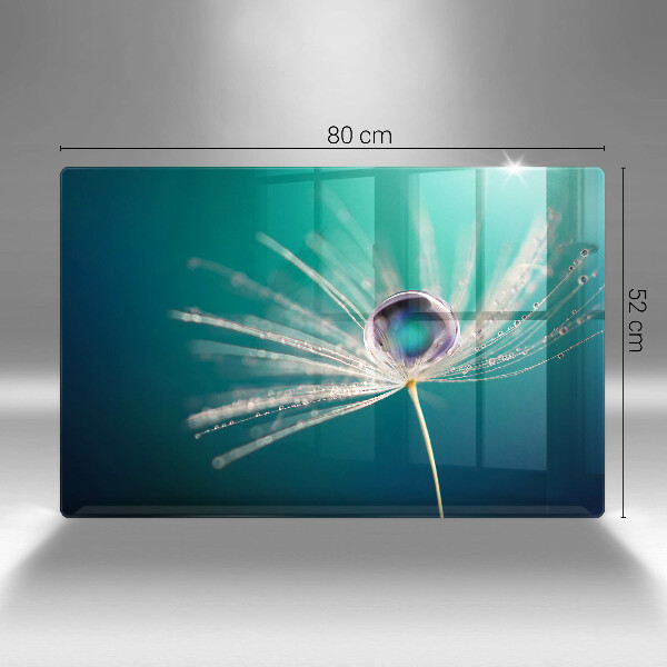 Protection pour plaque de cuisson Rosée sur un pissenlit