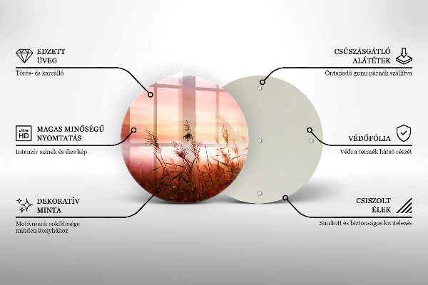 Protection plaque induction Paysage de champs d'herbe