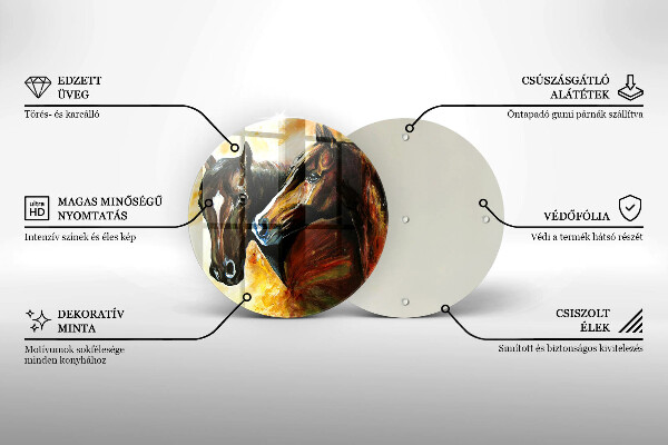 Protection plaque induction Animaux chevaux