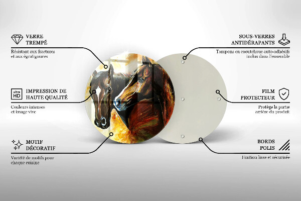 Protection plaque induction Animaux chevaux